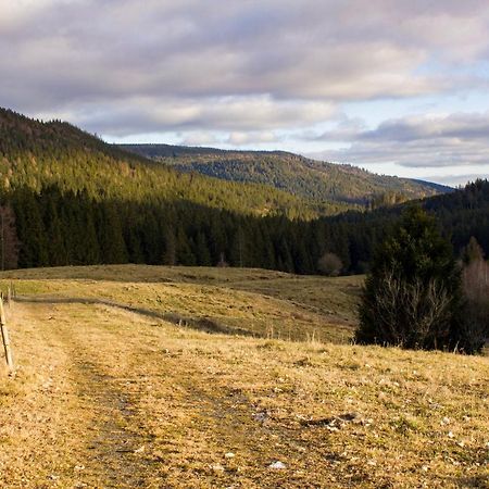 Gemuetliche Ferienwohnung - Mitten Im Schwarzwald Bernau im Schwarzwald Dış mekan fotoğraf