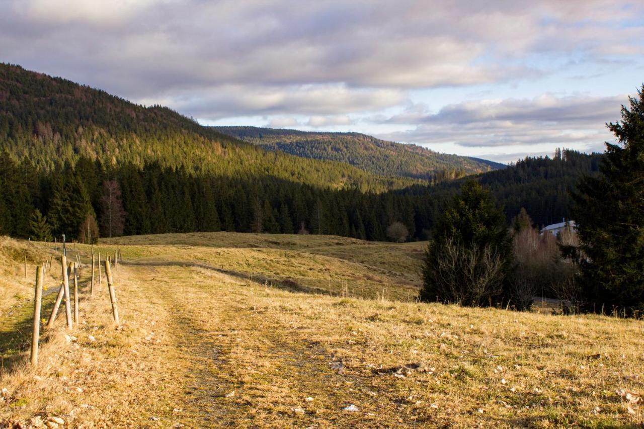 Gemuetliche Ferienwohnung - Mitten Im Schwarzwald Bernau im Schwarzwald Dış mekan fotoğraf