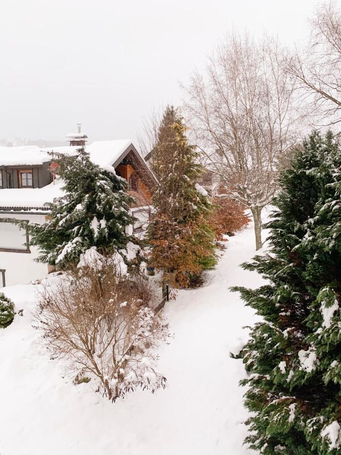 Gemuetliche Ferienwohnung - Mitten Im Schwarzwald Bernau im Schwarzwald Dış mekan fotoğraf