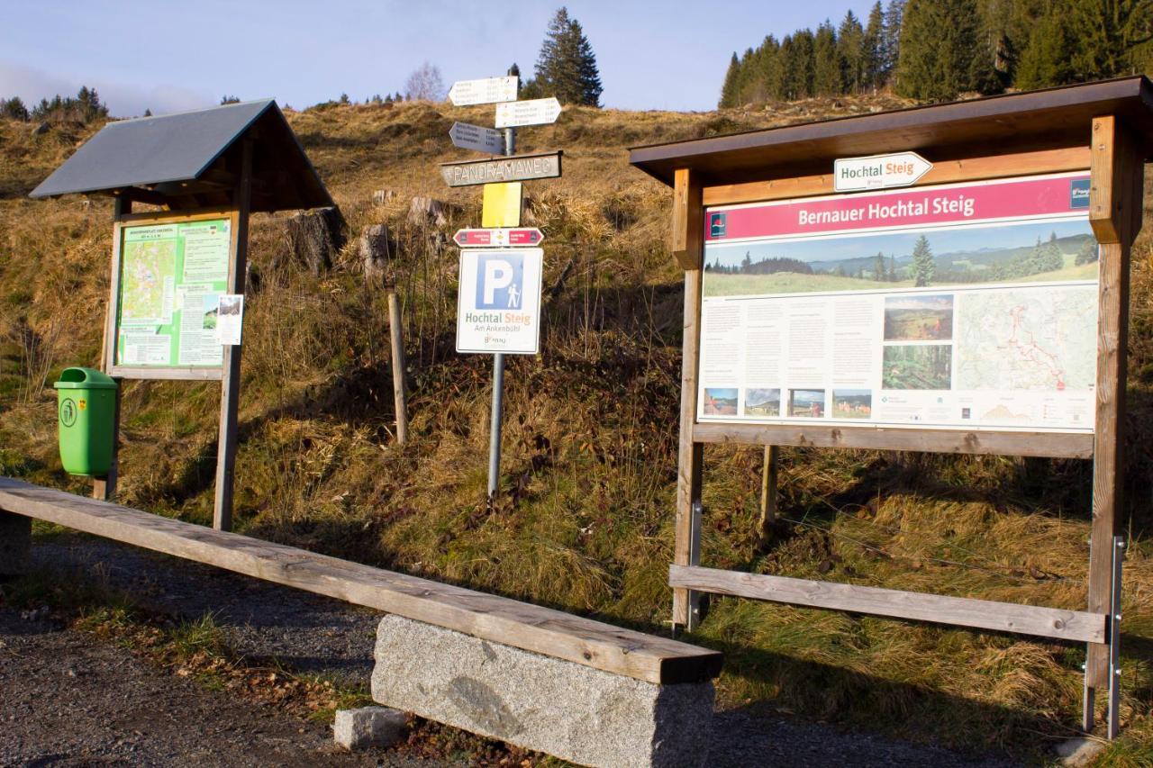 Gemuetliche Ferienwohnung - Mitten Im Schwarzwald Bernau im Schwarzwald Dış mekan fotoğraf